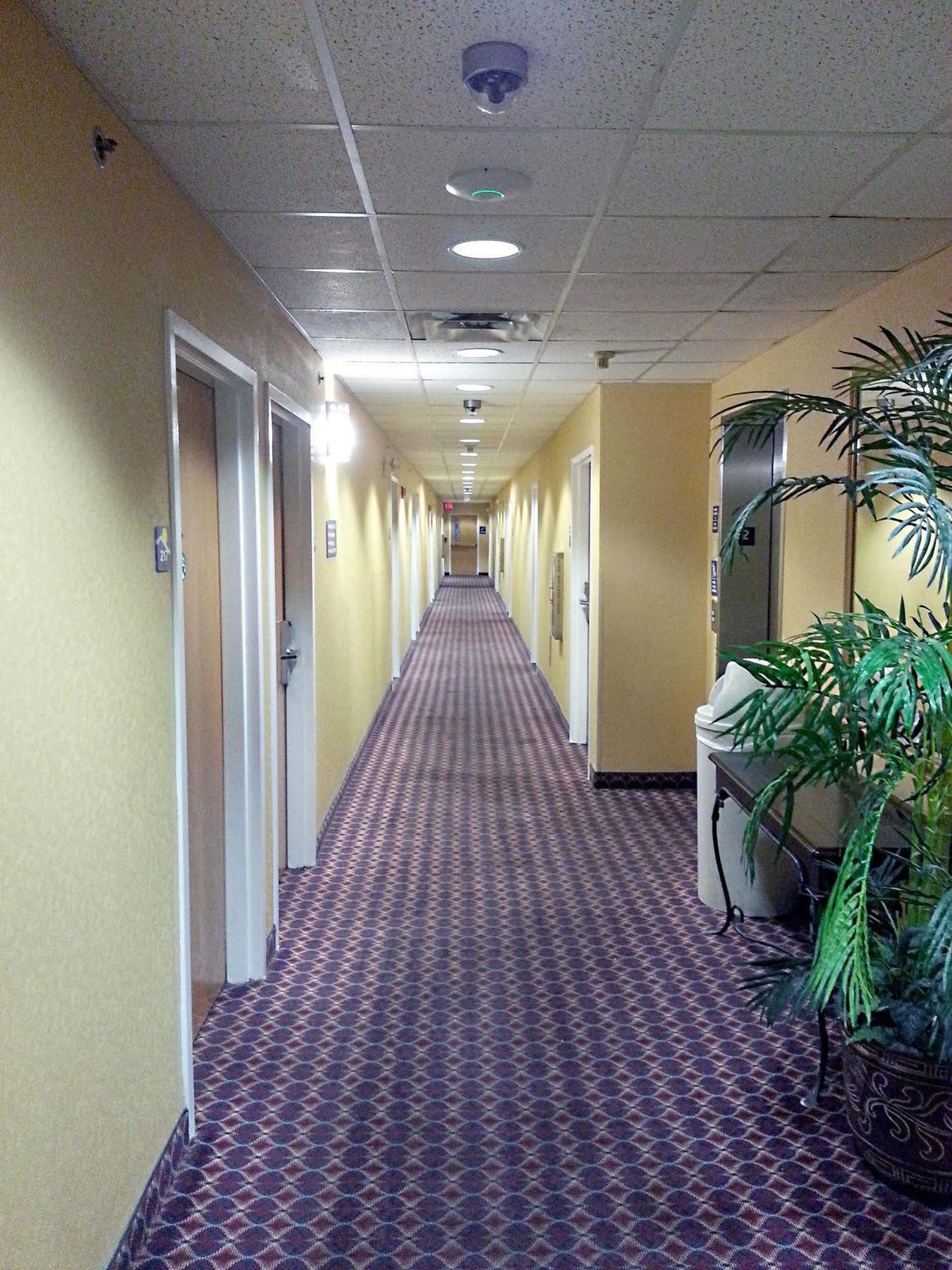 Hometown Inn & Suites Jacksonville Butler Blvd./Southpoint Exterior foto